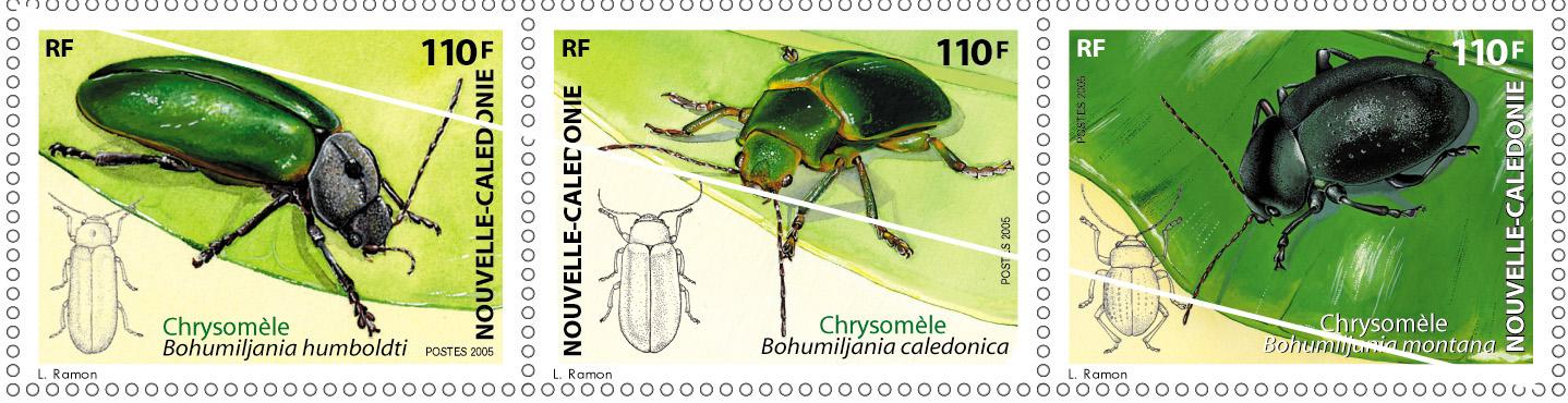 Bat tp insectes raye